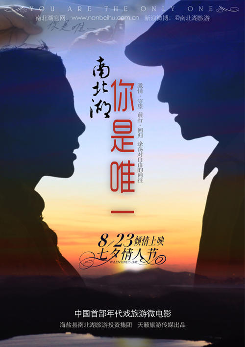 仿制假伊利诺伊州